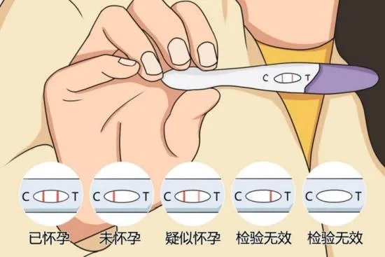 试纸两道杠图片