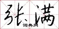 张满