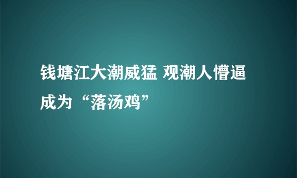 钱塘江大潮威猛 观潮人懵逼成为“落汤鸡”