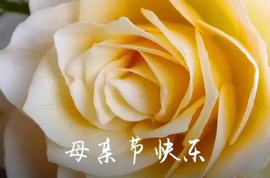 母亲节对妈妈说的一句话