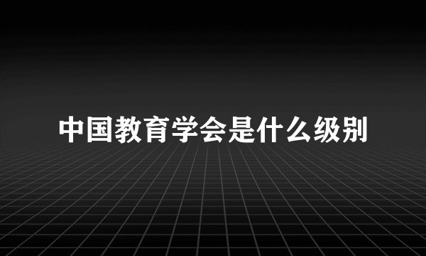中国教育学会是什么级别