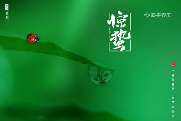 惊蛰的含义