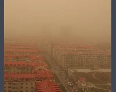 浮尘是什么意思?