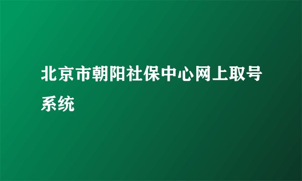 北京市朝阳社保中心网上取号系统