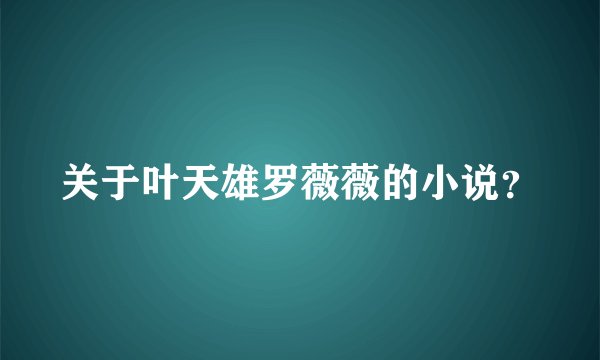 关于叶天雄罗薇薇的小说？