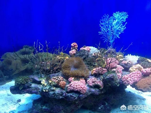 广西北海好玩吗?