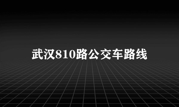 武汉810路公交车路线