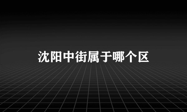 沈阳中街属于哪个区
