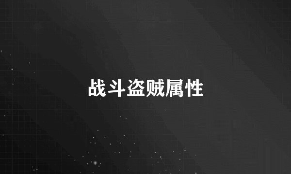 战斗盗贼属性