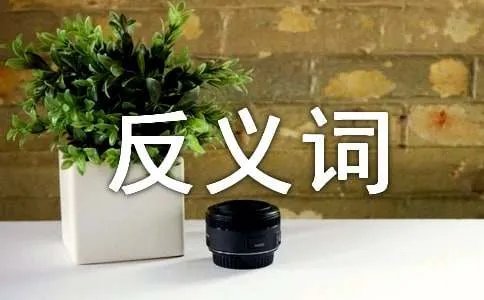 富丽堂皇的反义词
