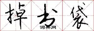 掉书袋