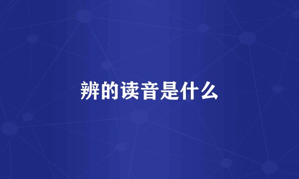 辨的读音是什么