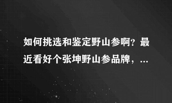 如何挑选和鉴定野山参啊？最近看好个张坤野山参品牌，不知道怎么选