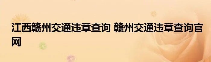 江西赣州交通违章查询 赣州交通违章查询官网