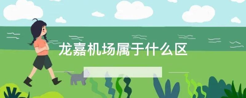 龙嘉机场属于什么区