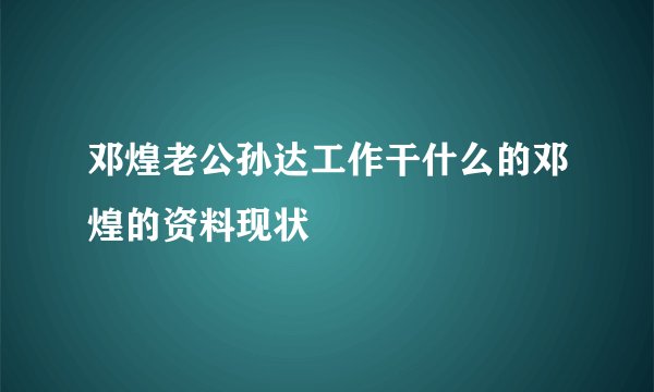 邓煌老公孙达工作干什么的邓煌的资料现状