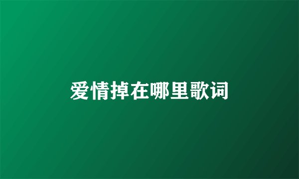 爱情掉在哪里歌词