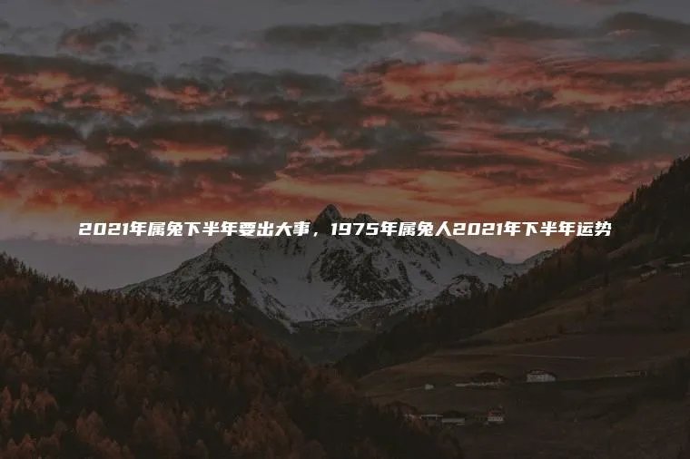 2021年属兔下半年要出大事，1975年属兔人2021年下半年运势