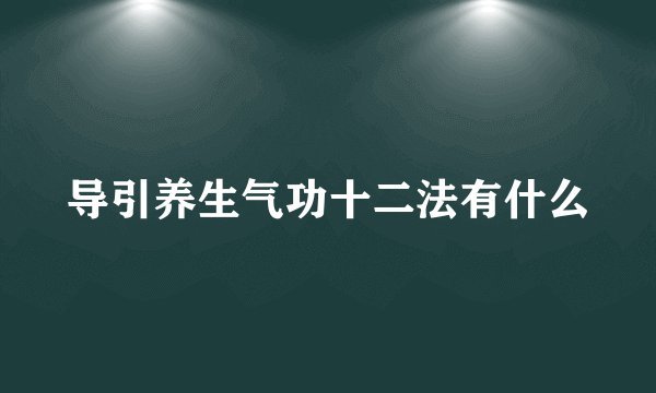 导引养生气功十二法有什么