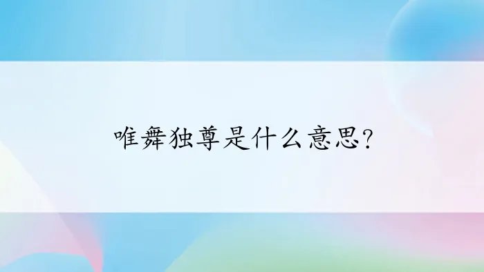 唯舞独尊是什么意思?