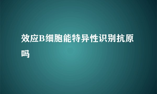 效应B细胞能特异性识别抗原吗