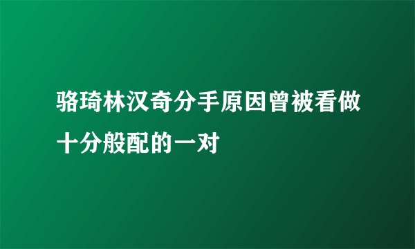 骆琦林汉奇分手原因曾被看做十分般配的一对