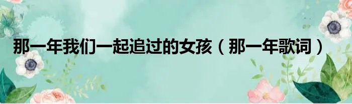 那一年我们一起追过的女孩（那一年歌词）