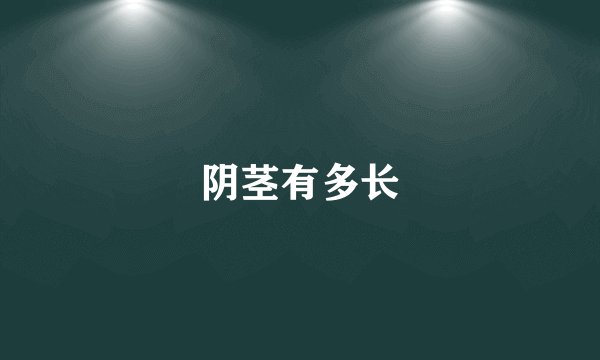 阴茎有多长