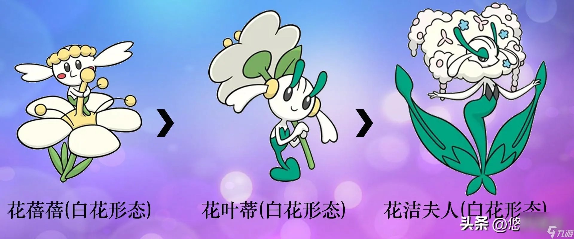 口袋精灵2宠物进化图 部分