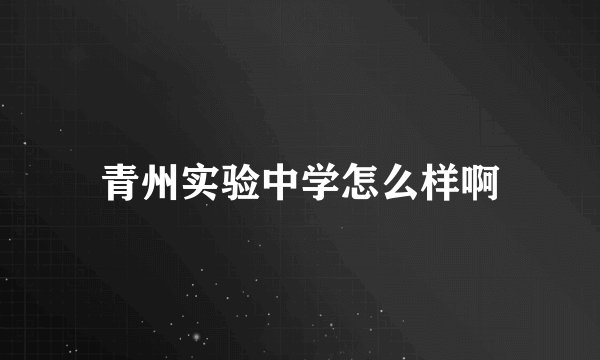 青州实验中学怎么样啊