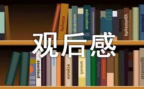 乐乐熊奇幻追踪观后感