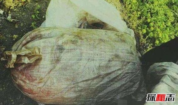 鍗楀ぇ纰庡案妗�2008骞寸牬浜嗗悧锛熷崡浜�119纰庡案妗堢湡鐩告洕鍏�(鏈牬)