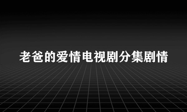 老爸的爱情电视剧分集剧情