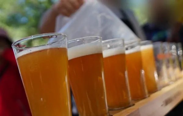 大连取消举办中国国际啤酒节了?