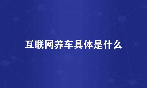 互联网养车具体是什么