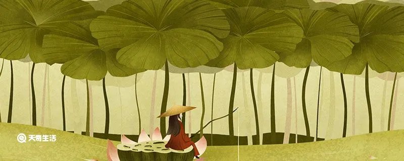 亚圣是谁