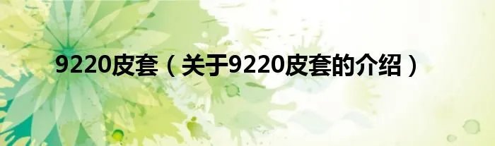 9220皮套（关于9220皮套的介绍）