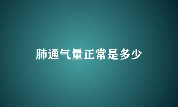 肺通气量正常是多少