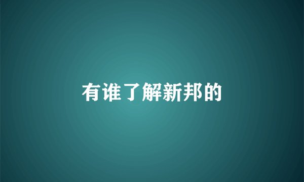 有谁了解新邦的