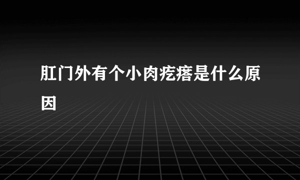 肛门外有个小肉疙瘩是什么原因