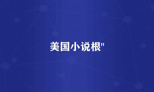 美国小说根
