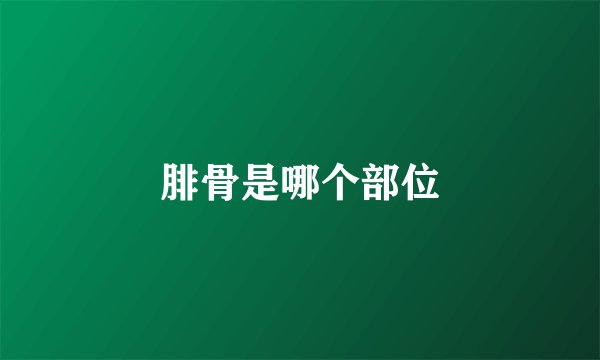 腓骨是哪个部位
