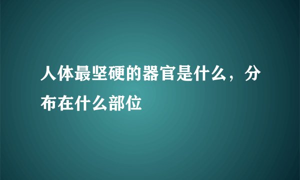 人体最坚硬的器官是什么，分布在什么部位