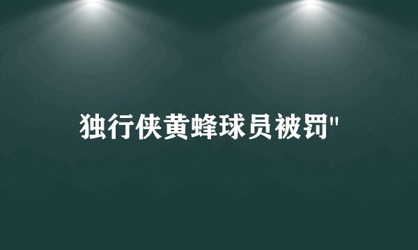独行侠黄蜂球员被罚