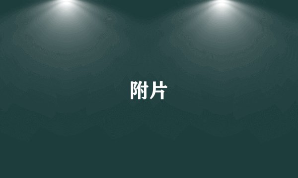 附片