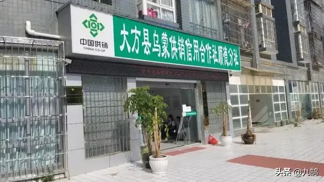 为什么贵州省大方县会拖欠教师工资4.7亿？