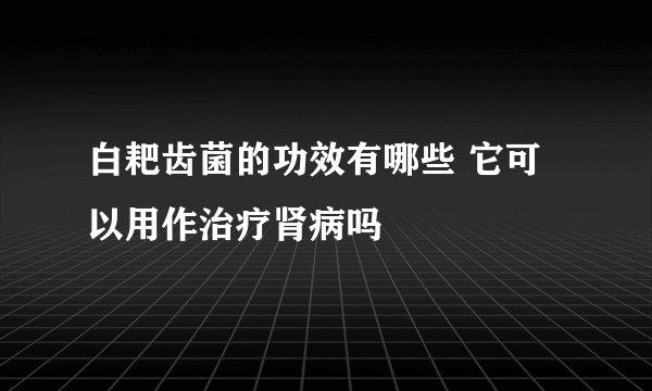 白耙齿菌的功效有哪些 它可以用作治疗肾病吗