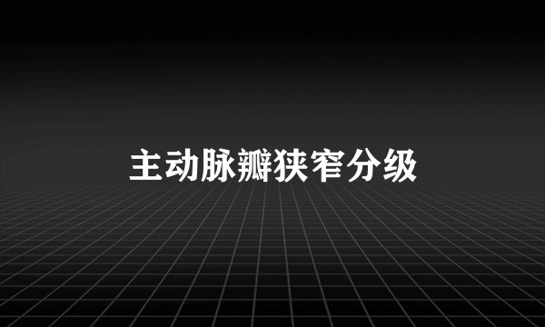 主动脉瓣狭窄分级