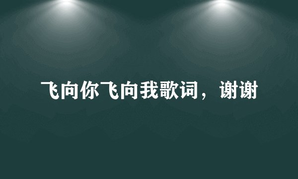 飞向你飞向我歌词,谢谢
