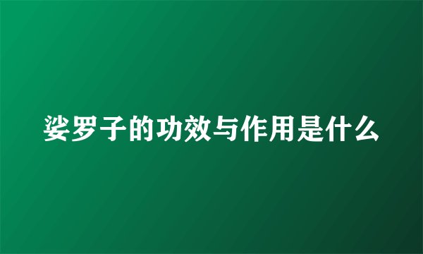 娑罗子的功效与作用是什么